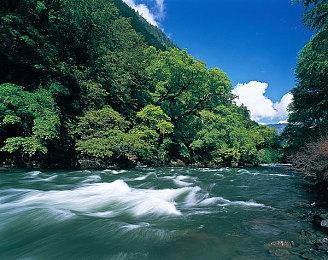 玩家用任天堂设计软件打造自制版《F-Zero》